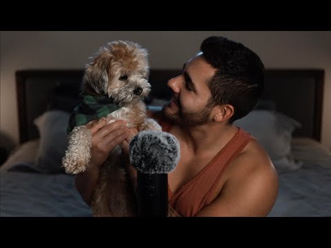 ASMR With My Dog - Massage and Brushing - Male Whisper