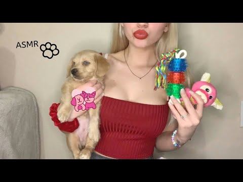 ASMR | Tapping on Dog Toys & Soft Whispering🐾 Meet My New Puppy!
