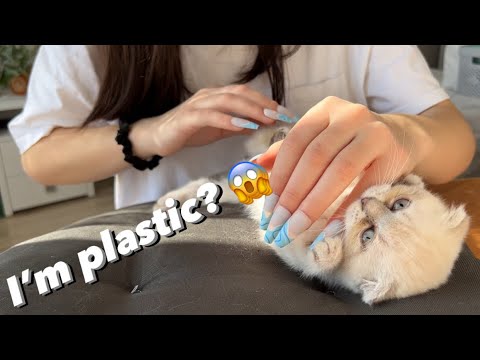 Asmr Tapping on Plastic Kitty (Asmr for sleep and relax with kitty 🐱)