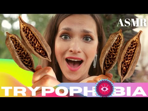 ASMR trypophobia [fear of holes]