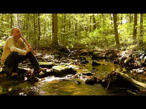 Relaxing Nature Journey & Walkabout #6 (Non-speaking) - Flute, Trickling Stream, Crunchy Leaves
