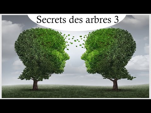 ASMR * Les secrets des arbres * opus 3