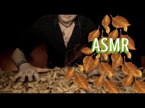 ASMR Autumn Leaves 🍁