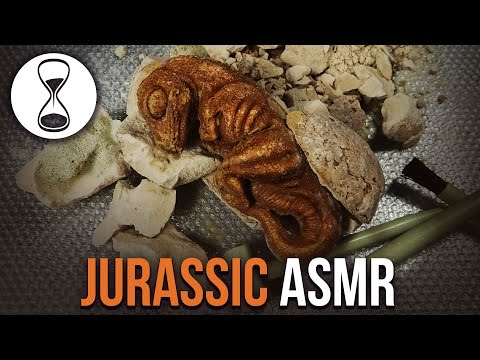JURASSIC ASMR – Whispered Scientist Role Play – EXCAVATION TINGLES!