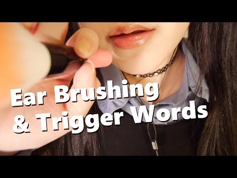 ASMR 10 Ear and Face Brushing with Trigger Words 브러싱&단어반복