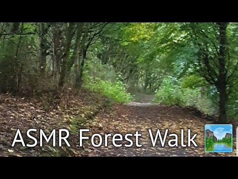 ASMR Forest Walk 🏞