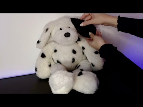 ASMR Medical Check Up On Stuffed Animal (Soft Spoken)