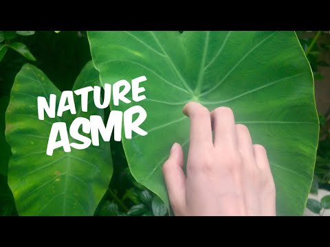 ASMR in Nature