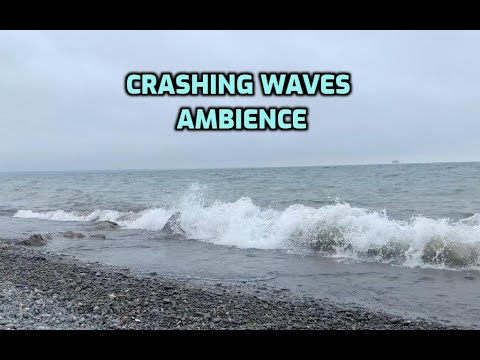Crashing Waves on a Foggy Fall Day w/ Rock Sorting | Ambience | Lofi ASMR
