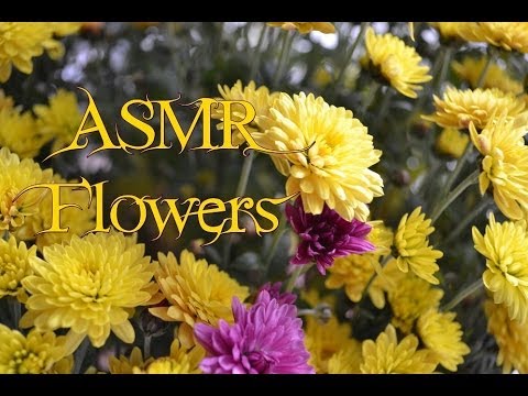 ASMR Flowers - Soft-Speaking Blossoms  || The ASMR Circus