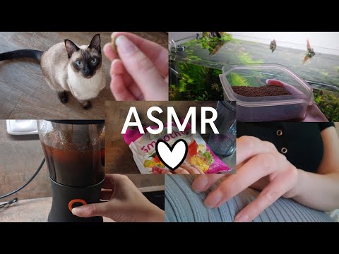 Random Sounds Through My Day 😏 (tapping, scratching, brushing, feeding etc.) | ASMR 🤍🎧