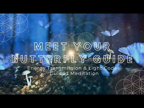 Meet Your Butterfly Guide 🦋 Energy Transmission, Light Codes & Guidance 🩵Guided Meditation 💫