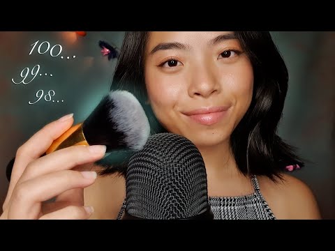 ASMR Counting You Down to Sleep ☁️ with Mic Brushing