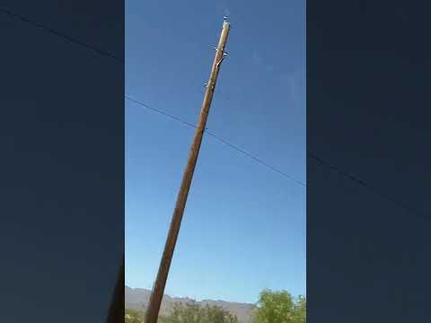 We saw a UFO today in the sky | Arizona Spotting UFO Shaped Figure Floating in The Sky