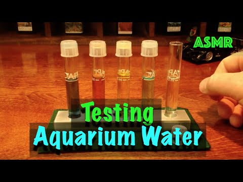 Testing Aquarium Water - ASMR