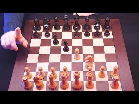 Beat The Caro-Kann and Relax ♔ ASMR ♔ Two Knights Attack Chess Opening