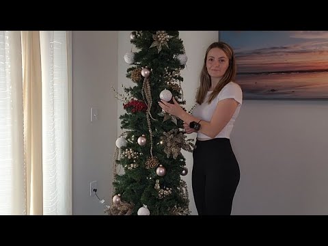 ASMR Put Up My FIRST Christmas Tree With ME🎄