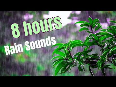 8 Hours of Rain Sounds - Rain Sounds for Sleeping, Study, Relax, Reduce Stress and Help Insomnia