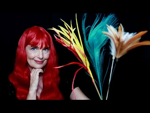 ASMR: Viewer Request - Brushing Your Face and My Face With Feathers (Tongue Clicking, No Talking)