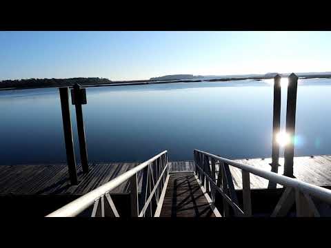 ASMR Palmetto Bluff - Short drive / walk / Nature Sounds