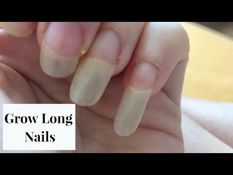 How I Grew Long Nails (w/Tapping)ASMR