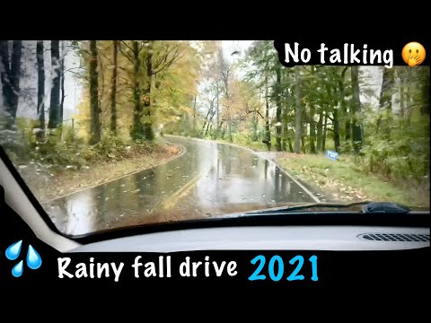 ASMR Fall drive in the rain! (No talking) Replete with squeaky brakes & squawking windshield wipers.