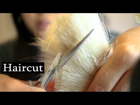 ASMR Haircut | Scissors Cutting Hair Sounds