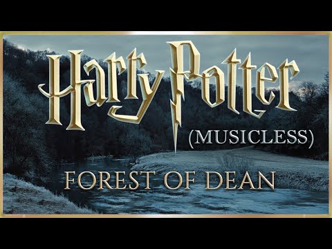 Forest of Dean [Musicless] Winter ASMR | Relaxing Howling Wind | Harry Potter inspired Ambience