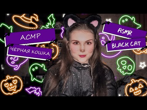 АСМР💤 Чёрная кошка🐱lo-fi шепот😴 ASMR 💤 Russian whisper ✨ Black cat role play 🐱