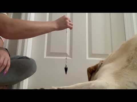 ASMR Using A Pendulum To Try To Communicate With My Dog (soft spoken)