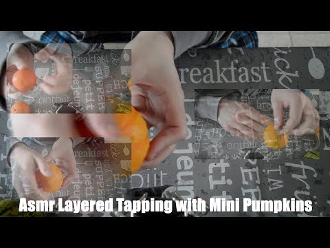 Asmr Layered Tapping Mini Pumpkins No talking