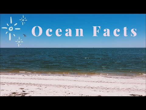 ASMR at the Beach! Reading Ocean Facts 🐙 (Voiceover)