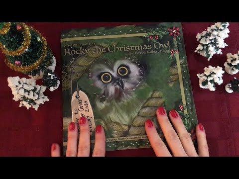 ASMR Bedtime Story about a Christmas Owl