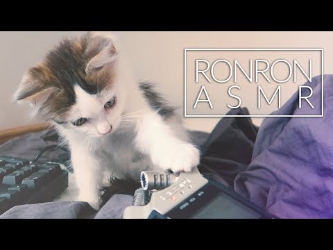 ASMR RONRON 🐈 mon chat ronronne dans vos oreilles 😍
