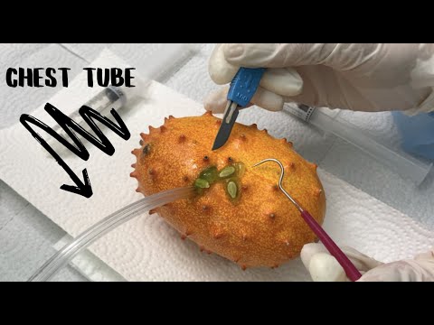 [ASMR] Surgery On A Kiwano Melon
