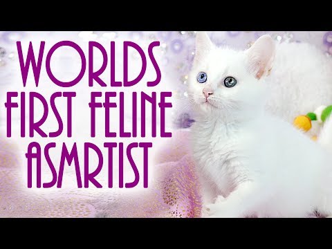 Baby Kitten ASMRtist! 3Dio Scratching & Pawing Sounds, Adorable Tingles!!