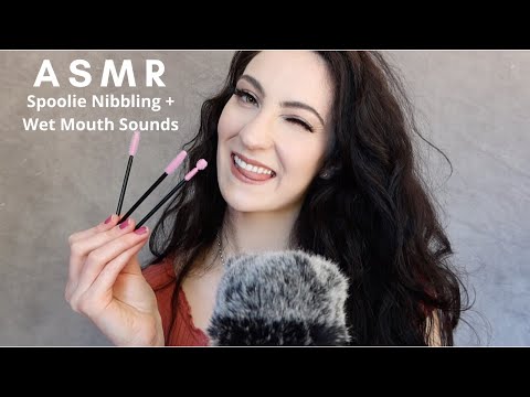 ASMR Spoolie Nibbling / Intense Wet Mouth Sounds to Give You Tingles