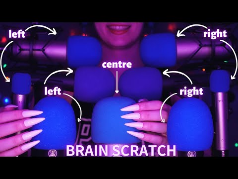 Asmr Mic Scratching - Brain Scratching with 9 Mics | Asmr No Talking for Sleep with Long Nails 1H