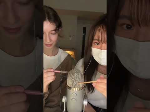 ASMR mic scratching & brushing with my friend 🥰