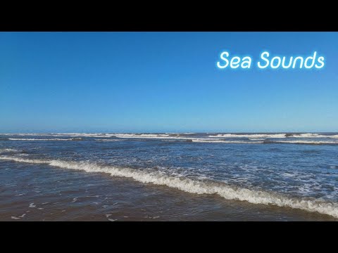 ASMR - Sea Sounds & Waves sounds 🌊🐚