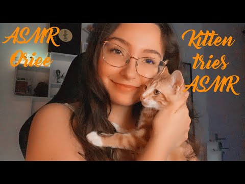 ASMR | Kitten tries ASMR 🐱