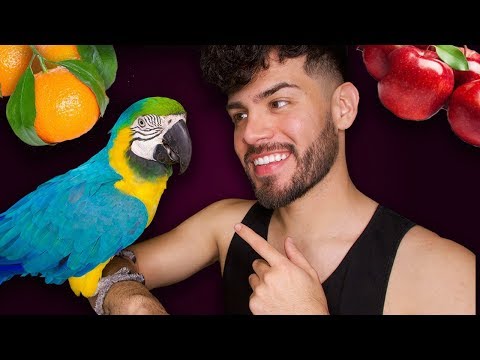 ASMR - Macaw Mukbang Eating Show (Male Whisper)