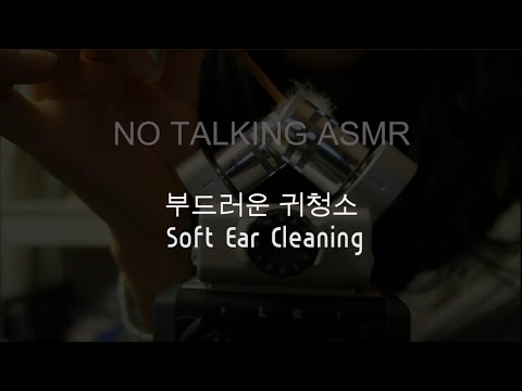 [No talking ASMR] 부드러운 귀청소 Soft Ear Cleaning