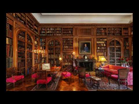 ASMR Librarian Roleplay (You get in trouble!)