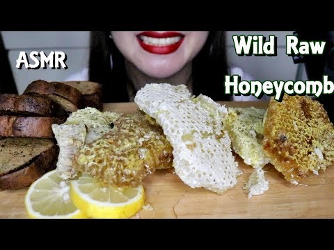 ASMR WIld Raw Honeycomb Eating SOunds No Talking