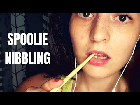 ASMR Türkçe | Spoolie Nibbling & Face Brushing | Mouth Sounds / Ağız Sesleri