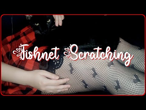 ASMR Fishnet Scratching + Purring feat Hector, the black cat! ♥