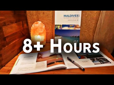 ASMR Travel Agent RPs for 8+ Hours