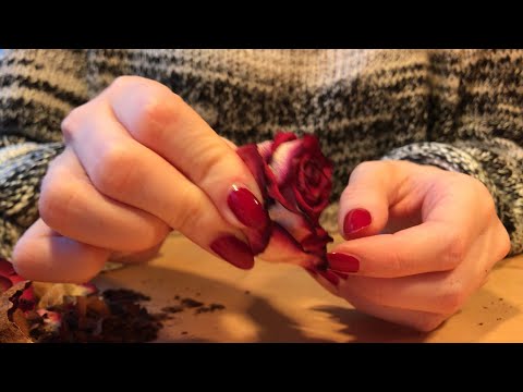 [ASMR] Crushing Dried Roses