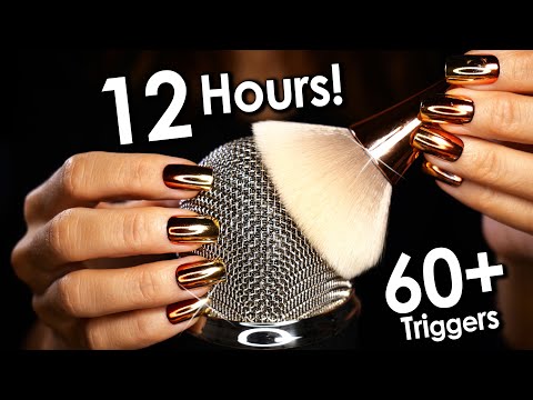Best Ever ASMR Triggers 😴 99.99% of You Will Fall Asleep  (No Talking)
